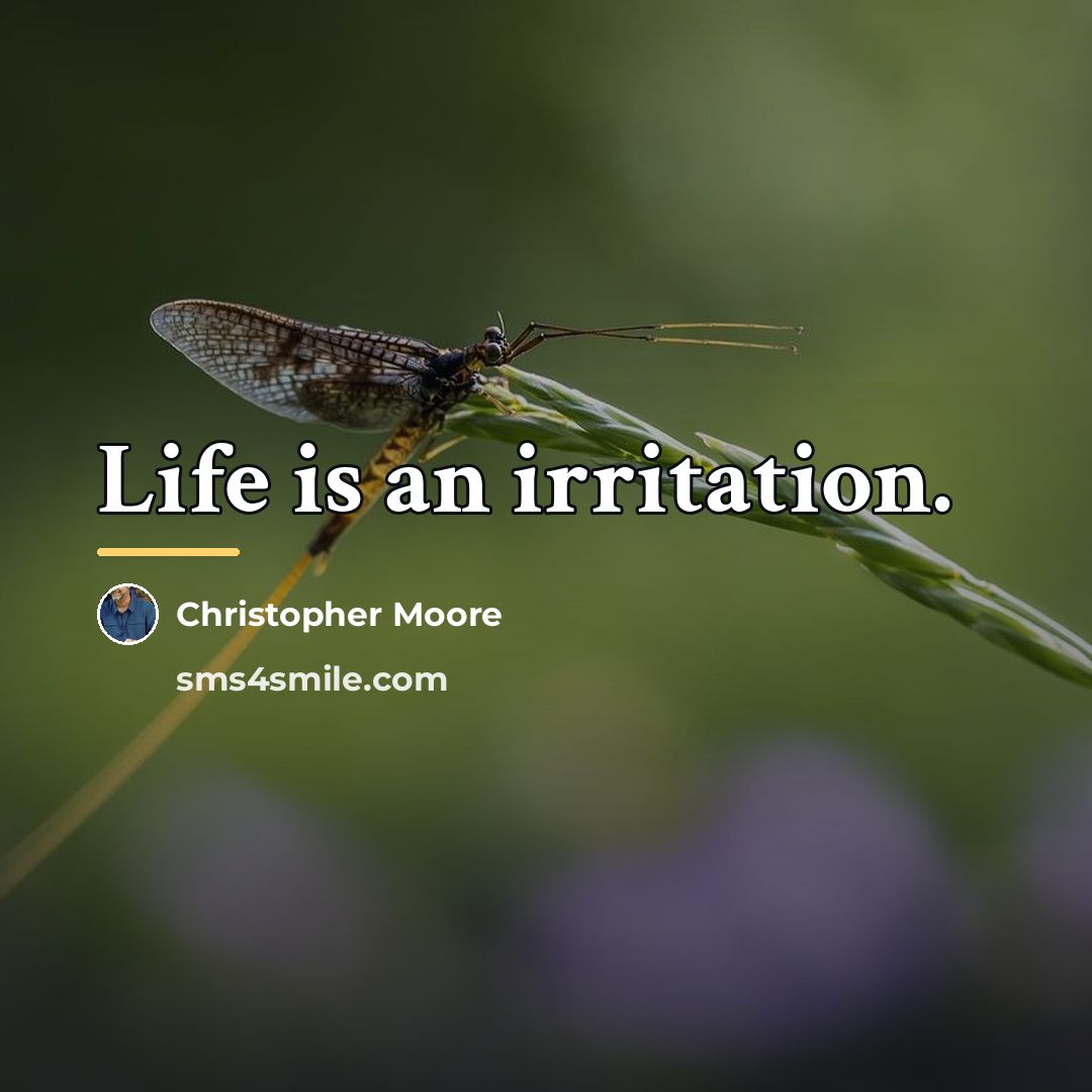 “Life is an irritation.…” quote by Christopher Moore
