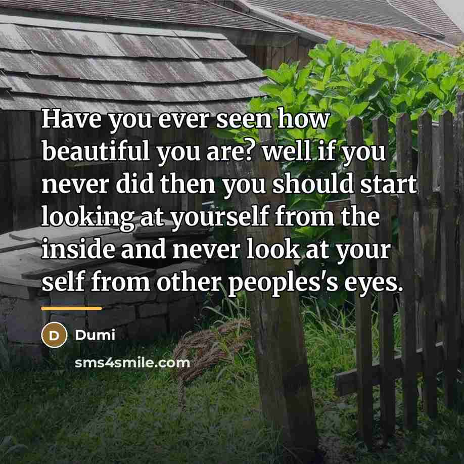 “Have you ever seen how beautiful you are? well if…” quote by Dumi