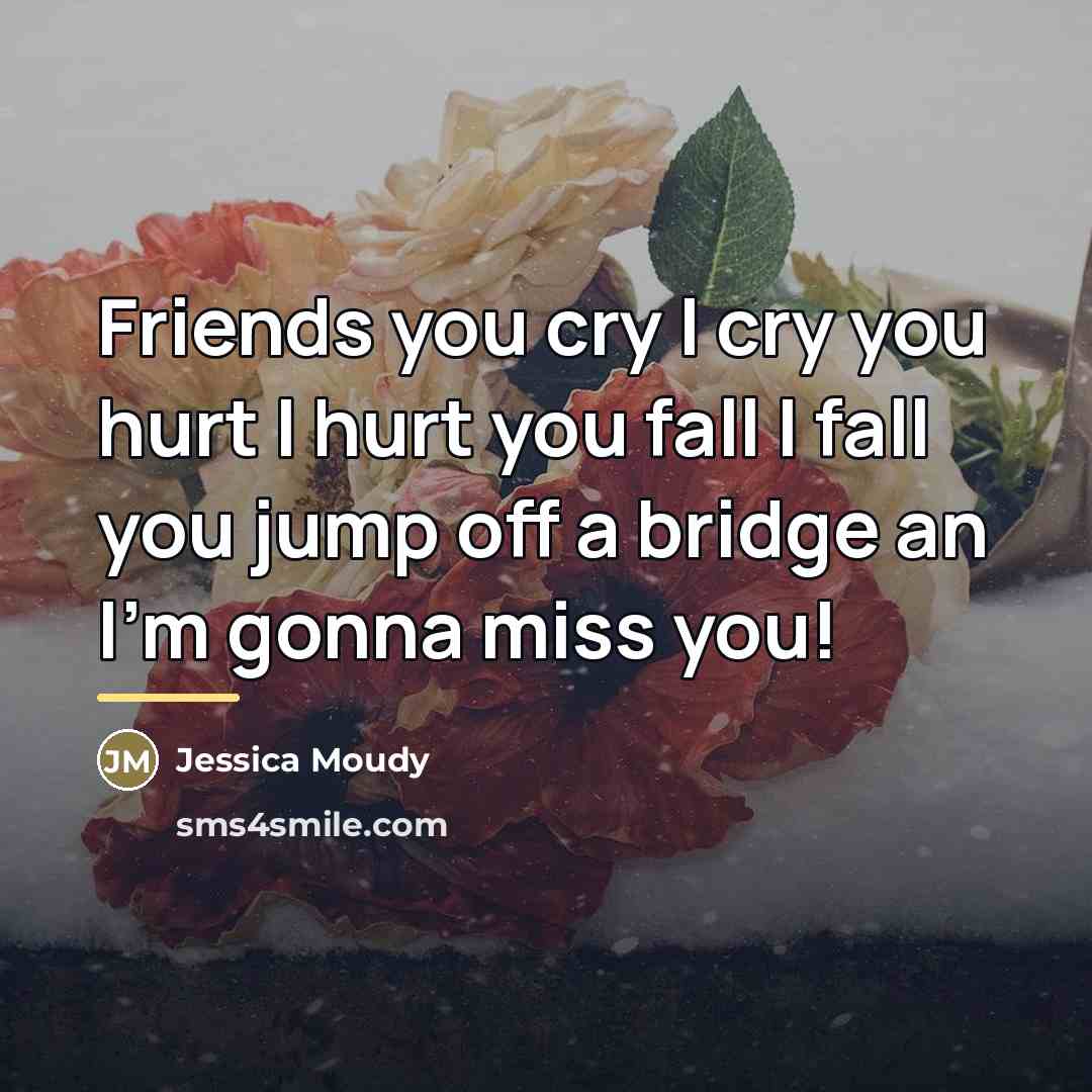 “Friends you cry I cry you hurt I hurt you…” quote by Jessica Moudy
