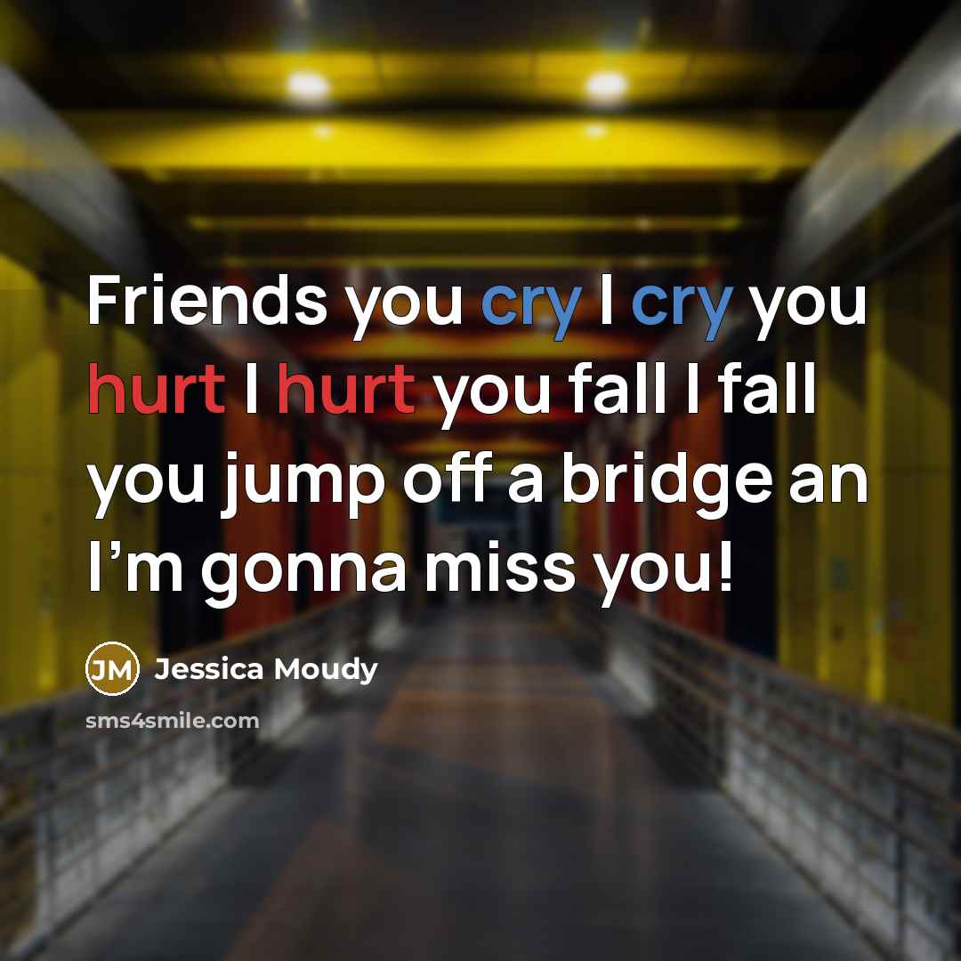 “Friends you cry I cry you hurt I hurt you fall I fall you jump off a bridge an I'm gonna miss you!” quote by Jessica Moudy