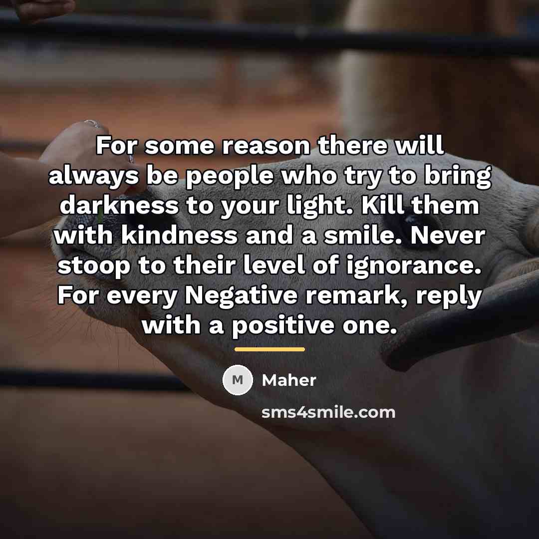 “For some reason there will always be people who try…” quote by Maher