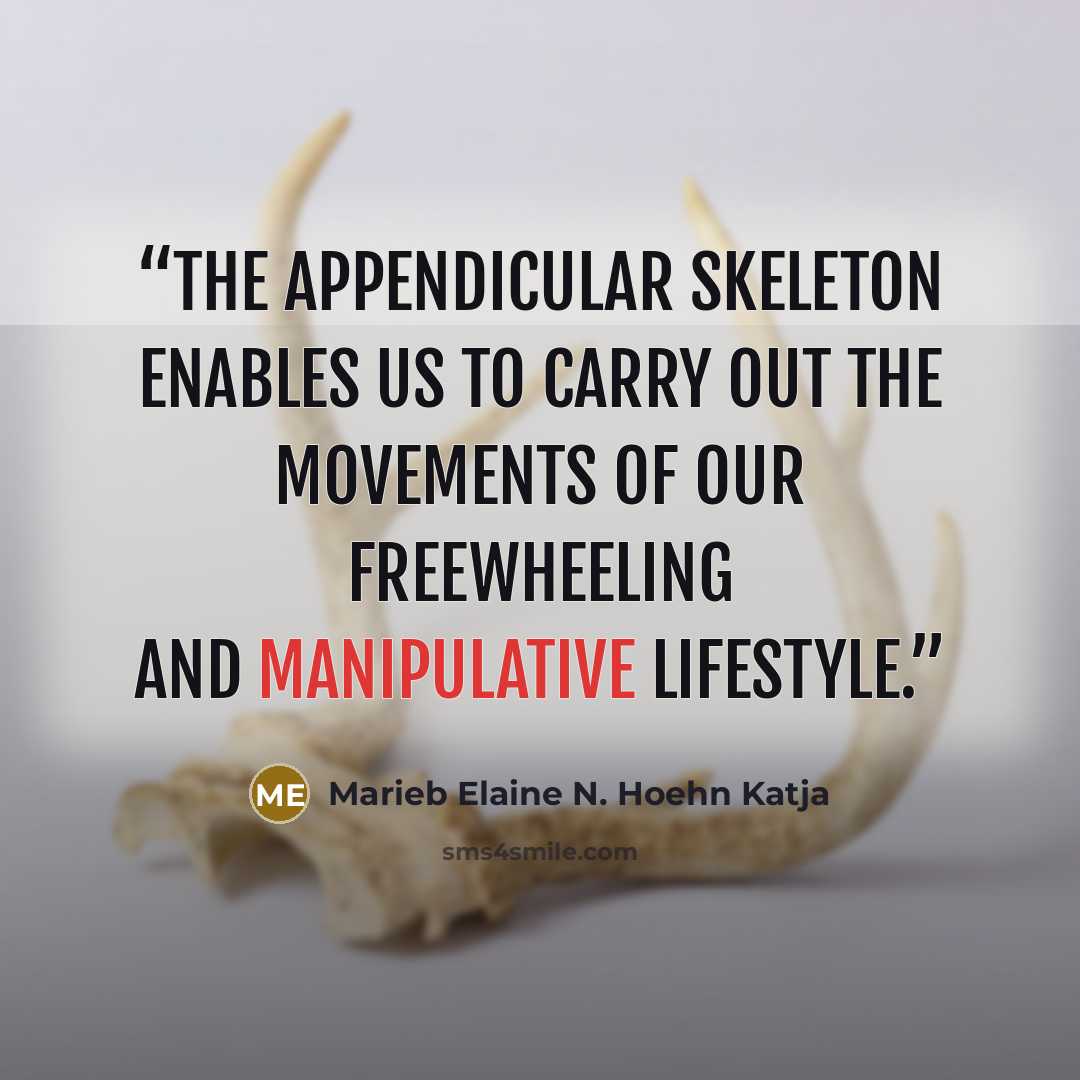 “The appendicular skeleton enables us to carry out the movements of our freewheeling and manipulative lifestyle.” quote by Marieb Elaine N. Hoehn Katja