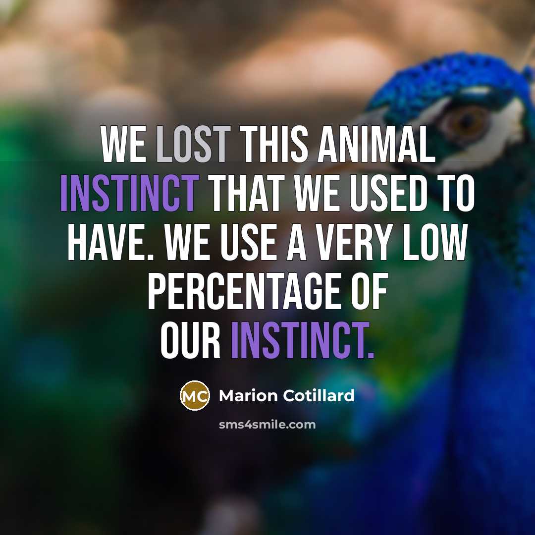 “We lost this animal instinct that we used to have.…” quote by Marion Cotillard
