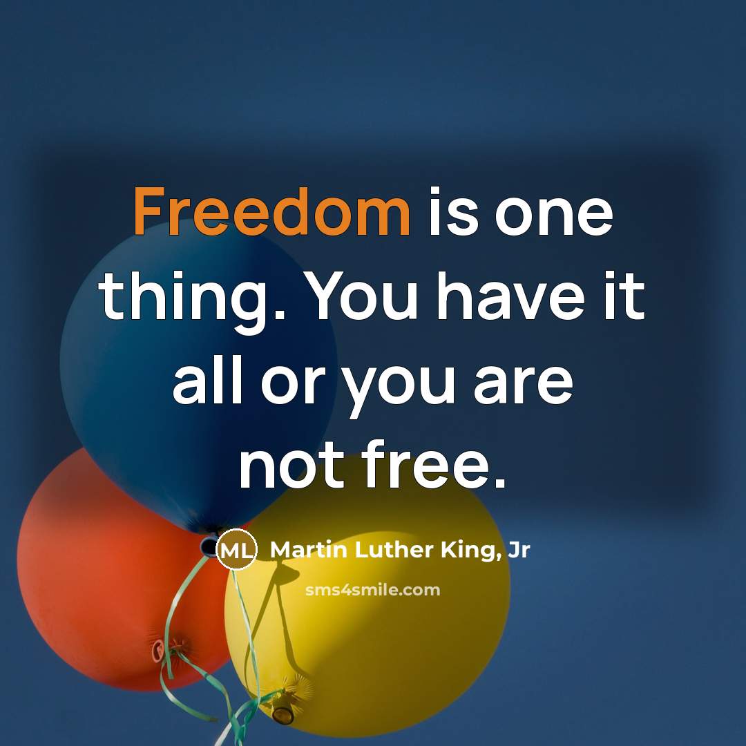 “Freedom is one thing. You have it all or you…” quote by Martin Luther King, Jr