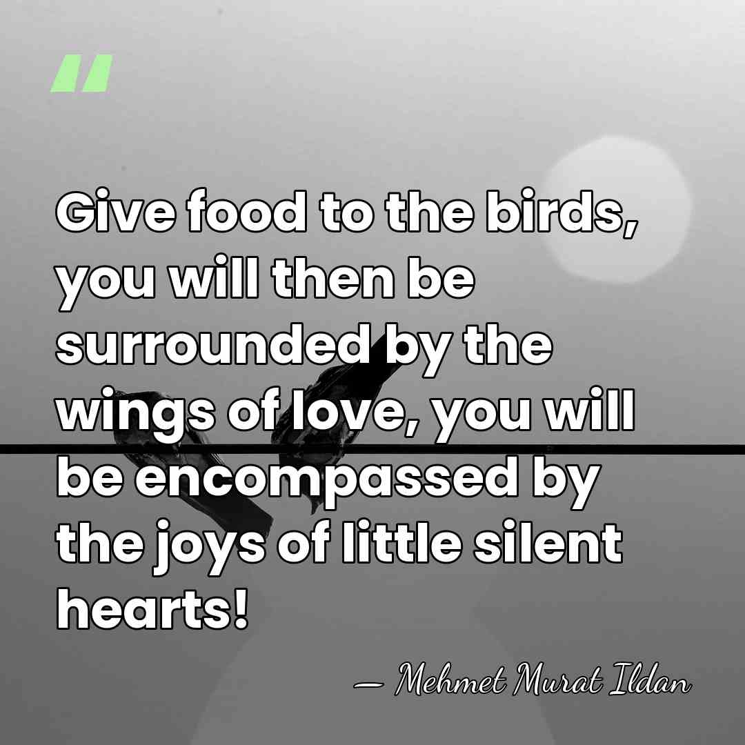 Give food to the birds, you will then be surrounded by the&hellip; - Mehmet Murat Ildan