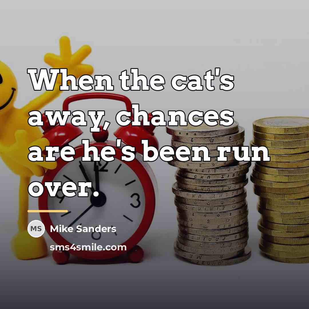 “When the cat's away, chances are he's been run over.…” quote by Mike Sanders