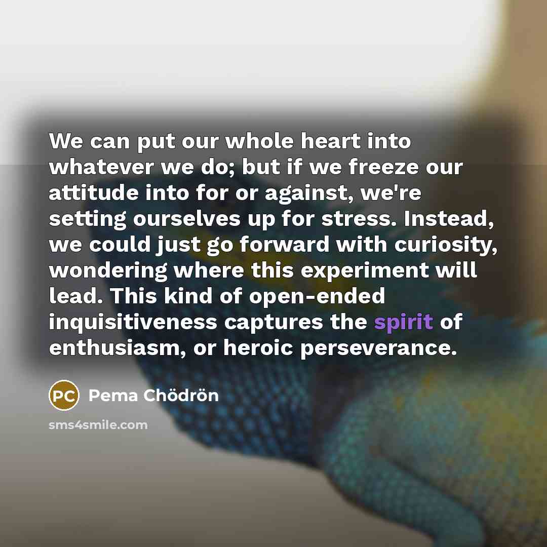 “We can put our whole heart into whatever we do;…” quote by Pema Chodron