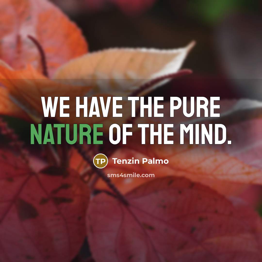 “We have the pure nature of the mind.…” quote by Tenzin Palmo