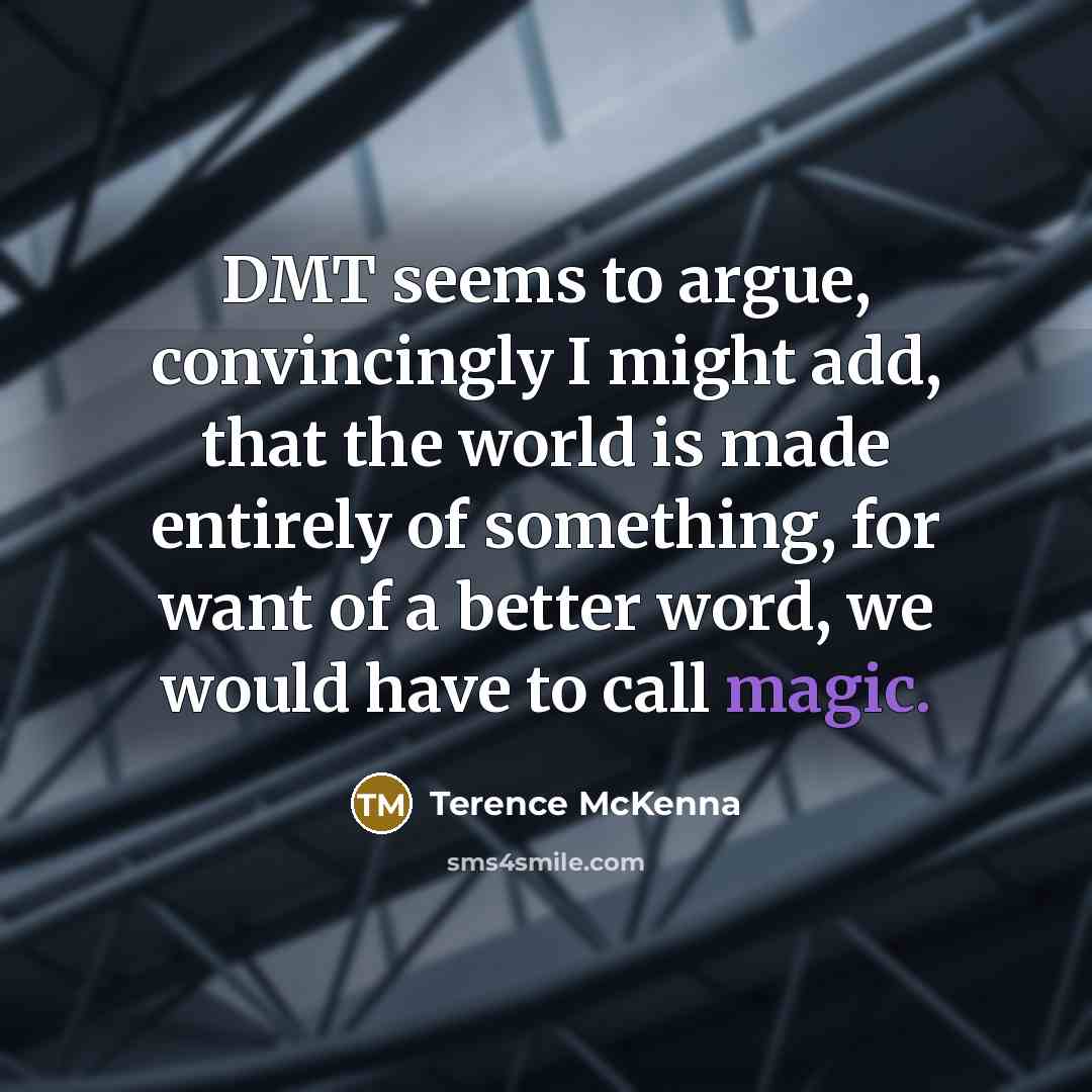 “DMT seems to argue, convincingly I might add, that the…” quote by Terence McKenna