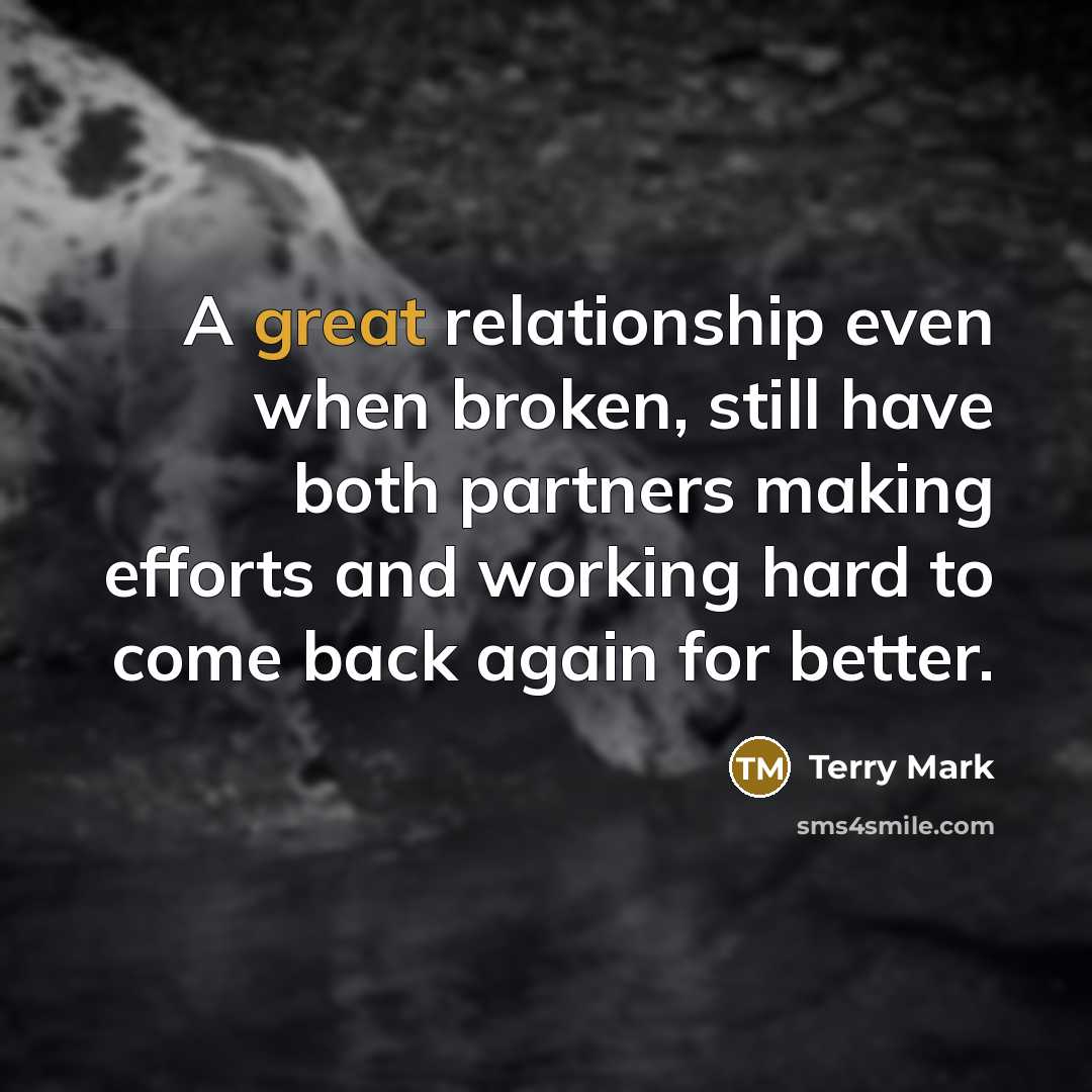 “A great relationship even when broken, still have both partners making efforts and working hard to come back again for better.” quote by Terry Mark
