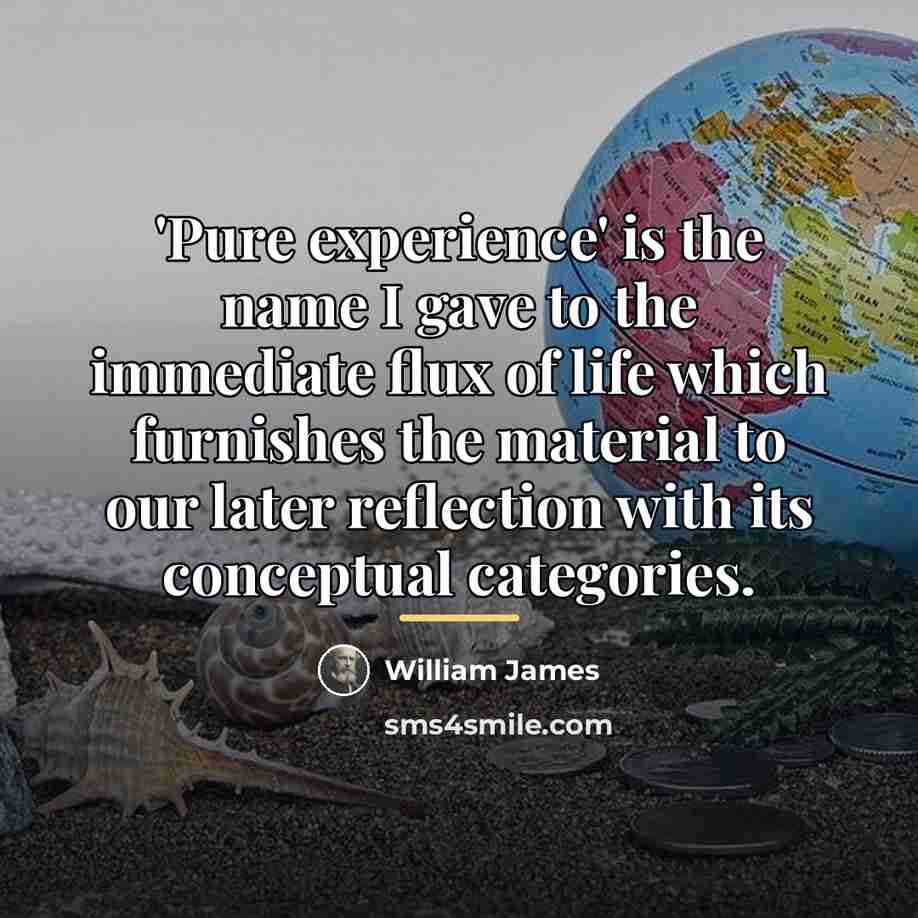 “'Pure experience' is the name I gave to the immediate…” quote by William James
