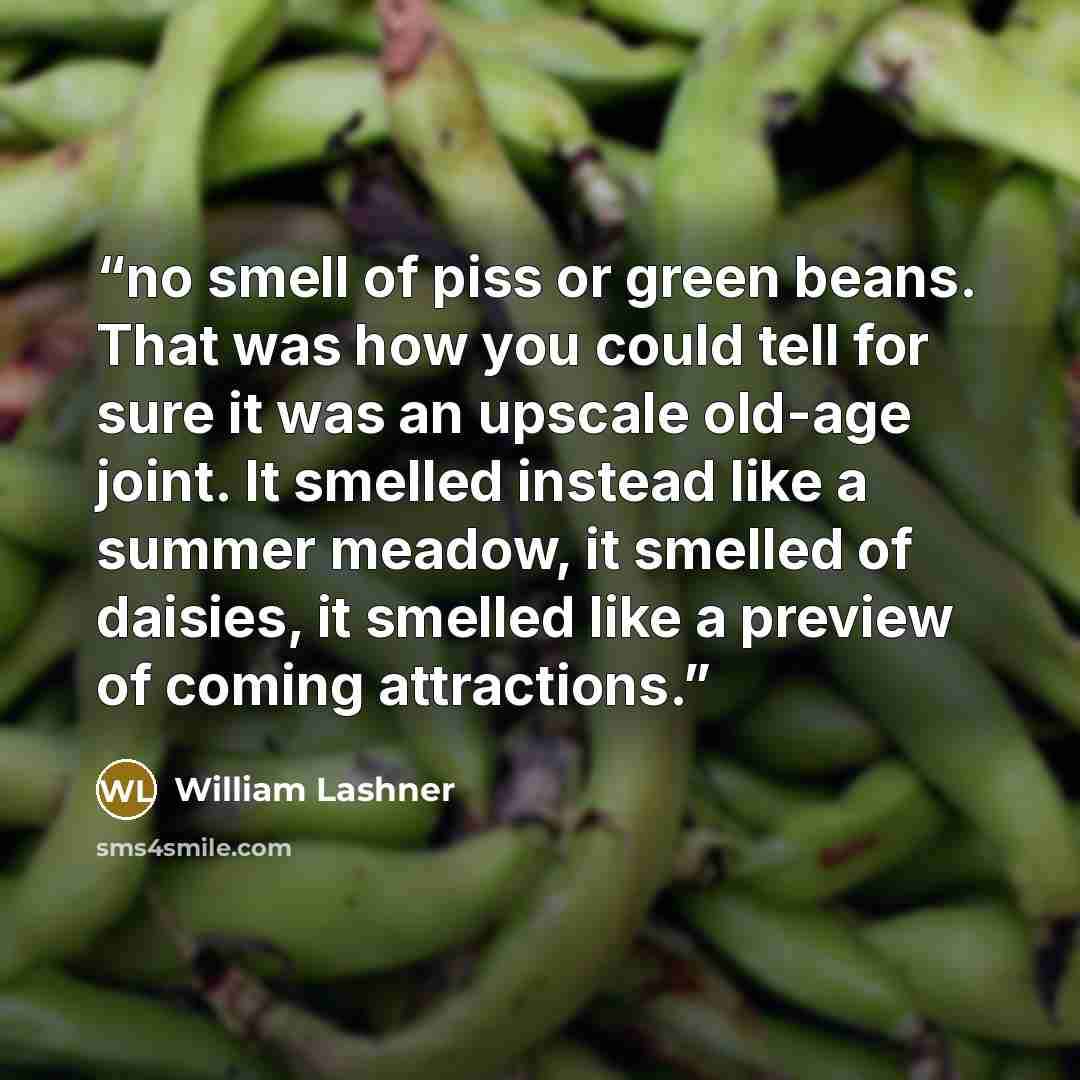“no smell of piss or green beans. That was how you could tell for sure it was an upscale old-age joint. It smelled instead like a summer meadow, it smelled of daisies, it smelled like a preview of coming attractions.” quote by William Lashner