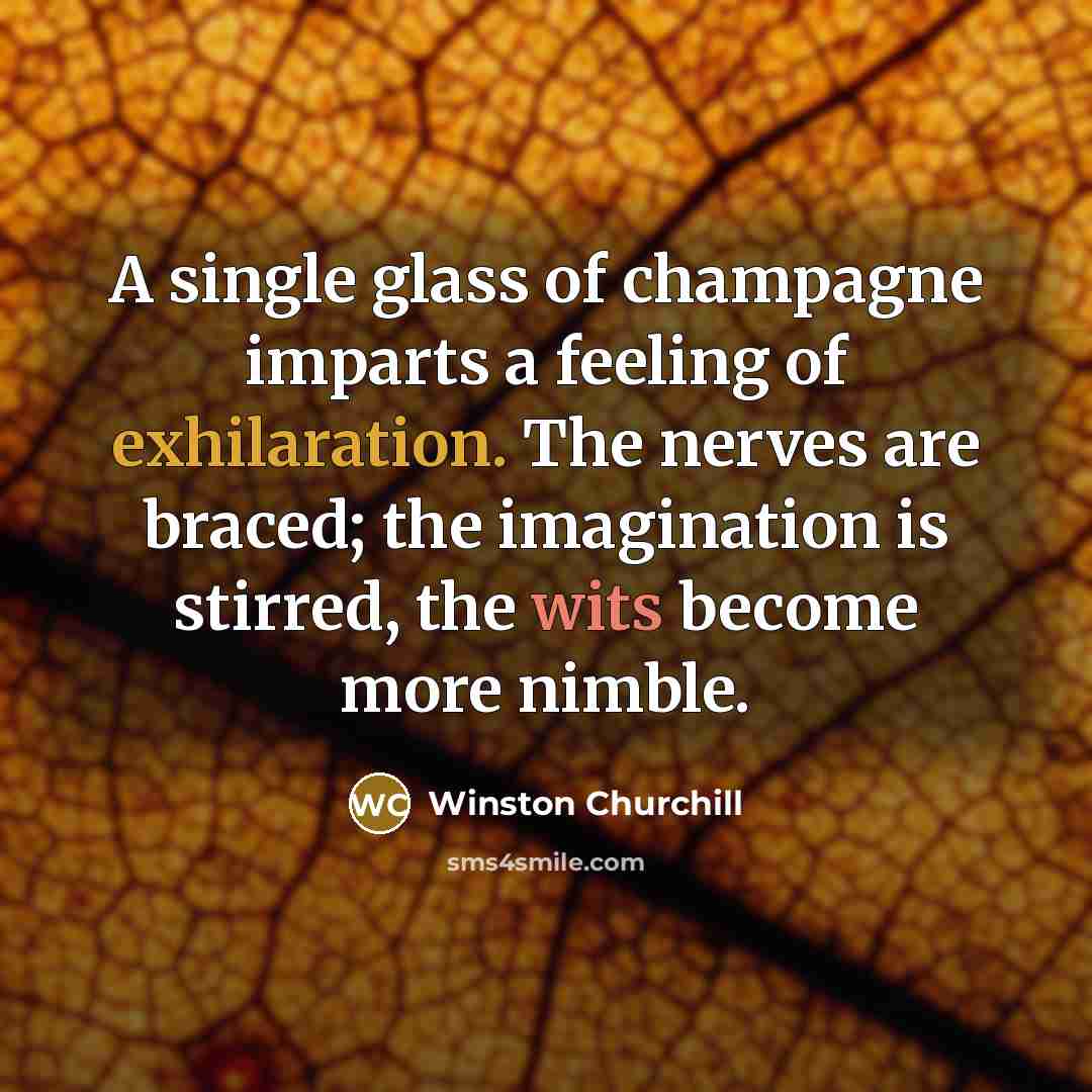 “A single glass of champagne imparts a feeling of exhilaration.…” quote by Winston Churchill
