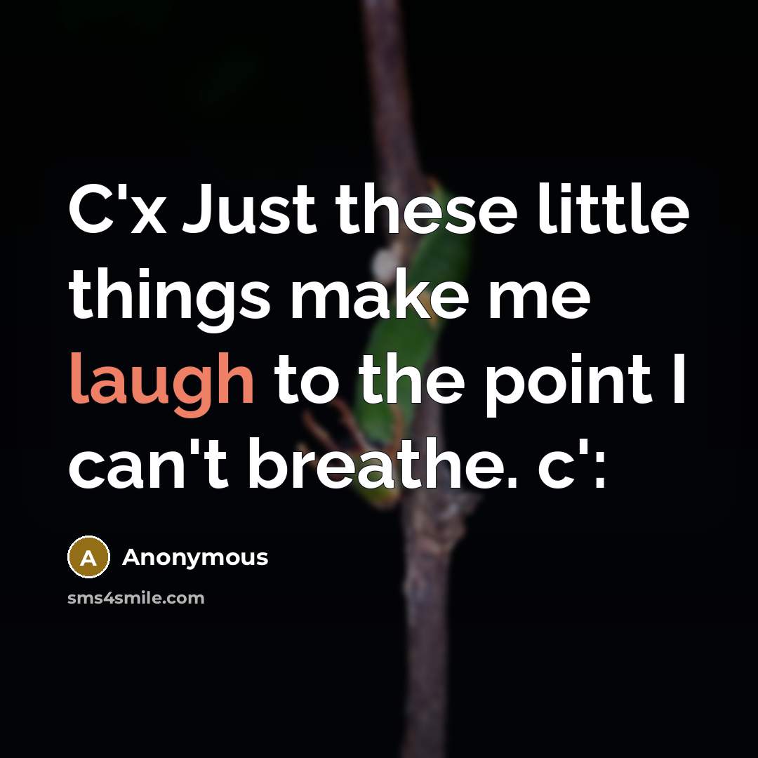 “C'x Just these little things make me laugh to the…” quote by Anonymous