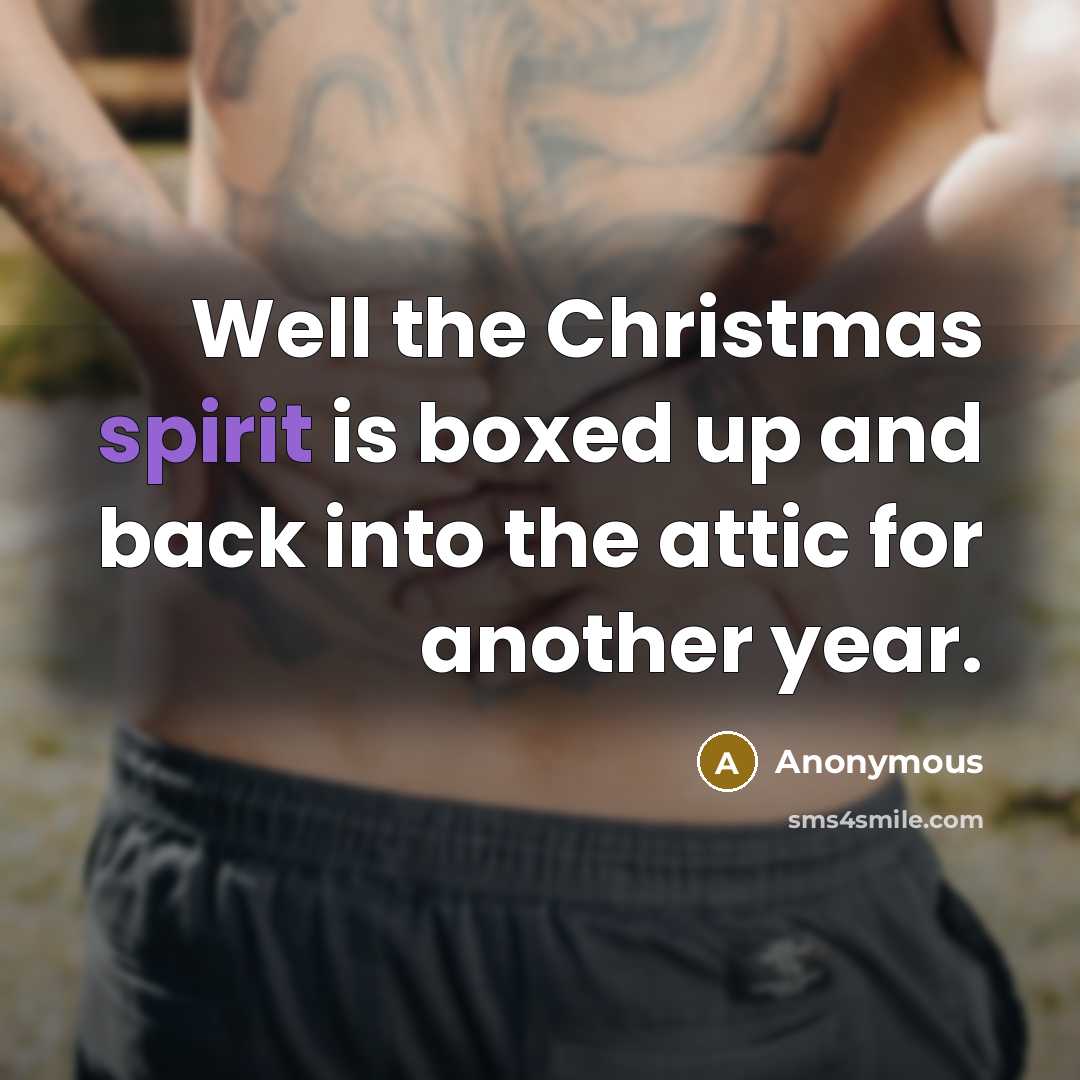 “Well the Christmas spirit is boxed up and back into…” quote by Anonymous