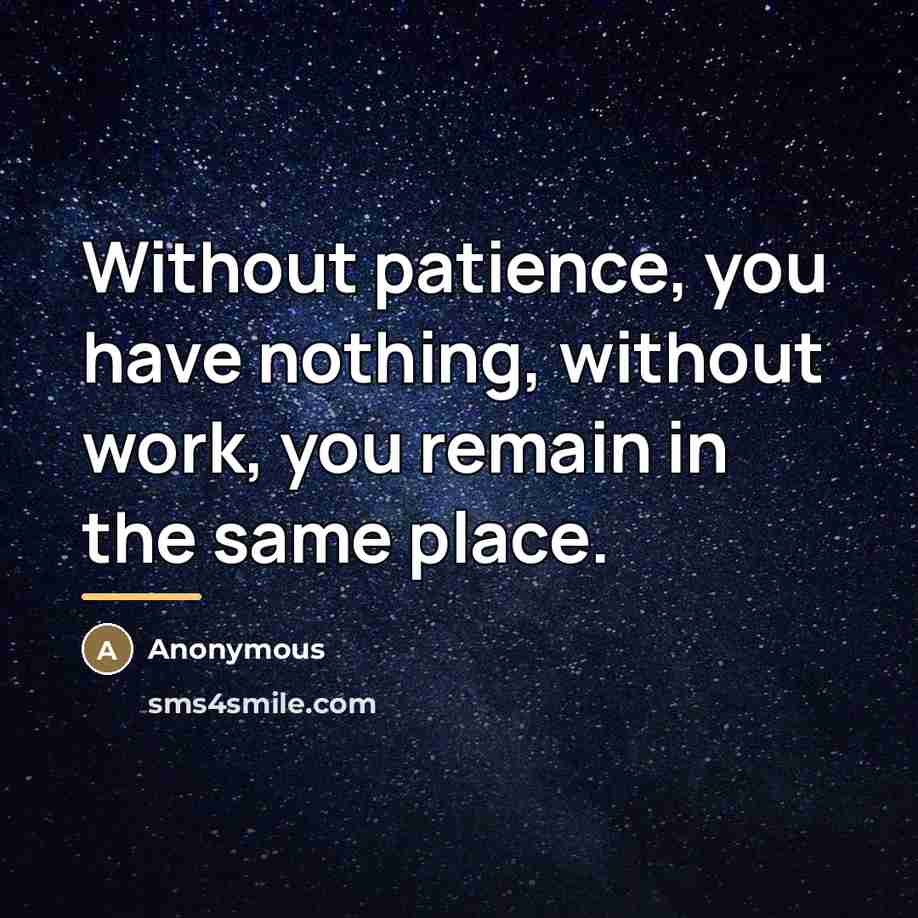 “Without patience, you have nothing, without work, you remain in…” quote by Anonymous