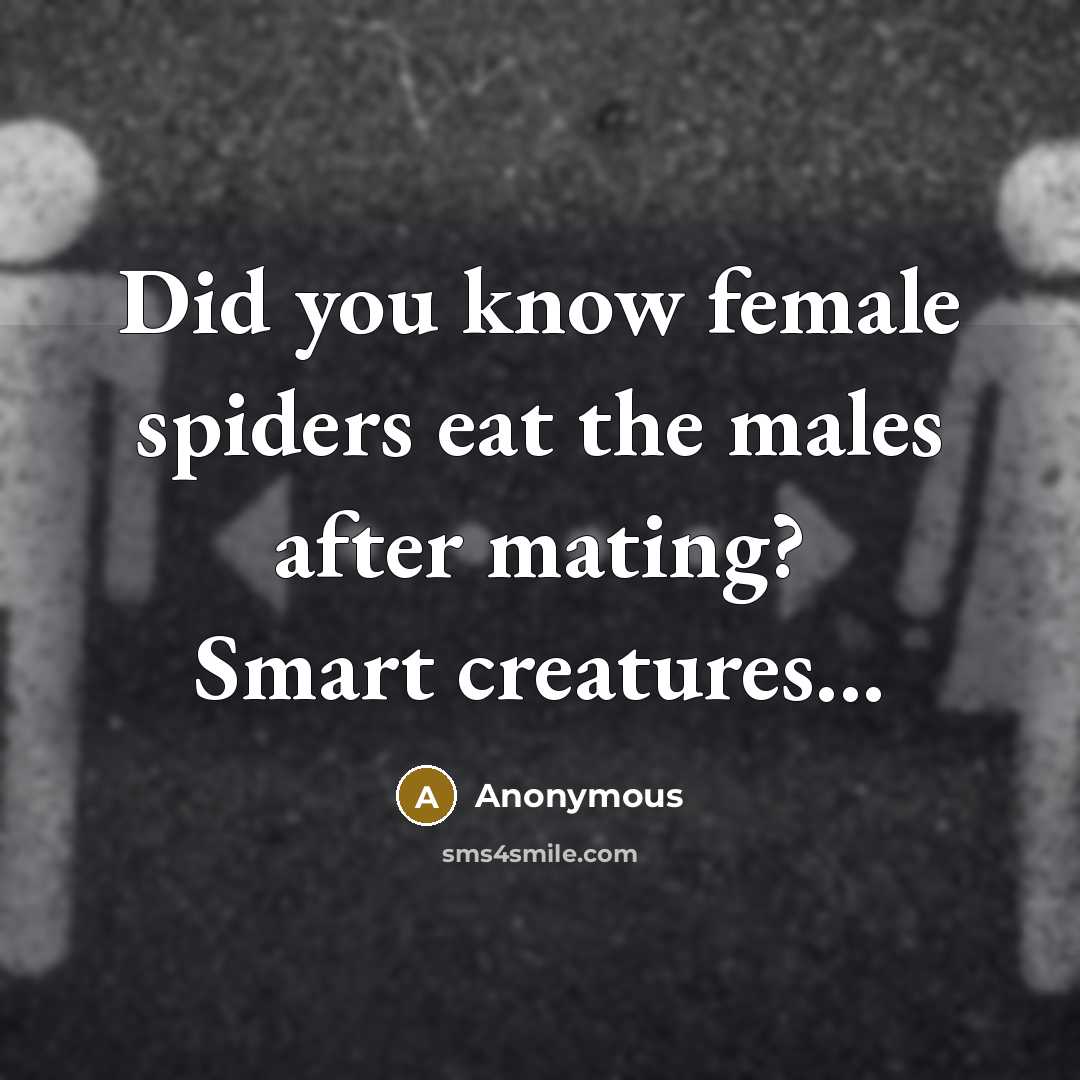 “Did you know female spiders eat the males after mating?…” quote by Anonymous