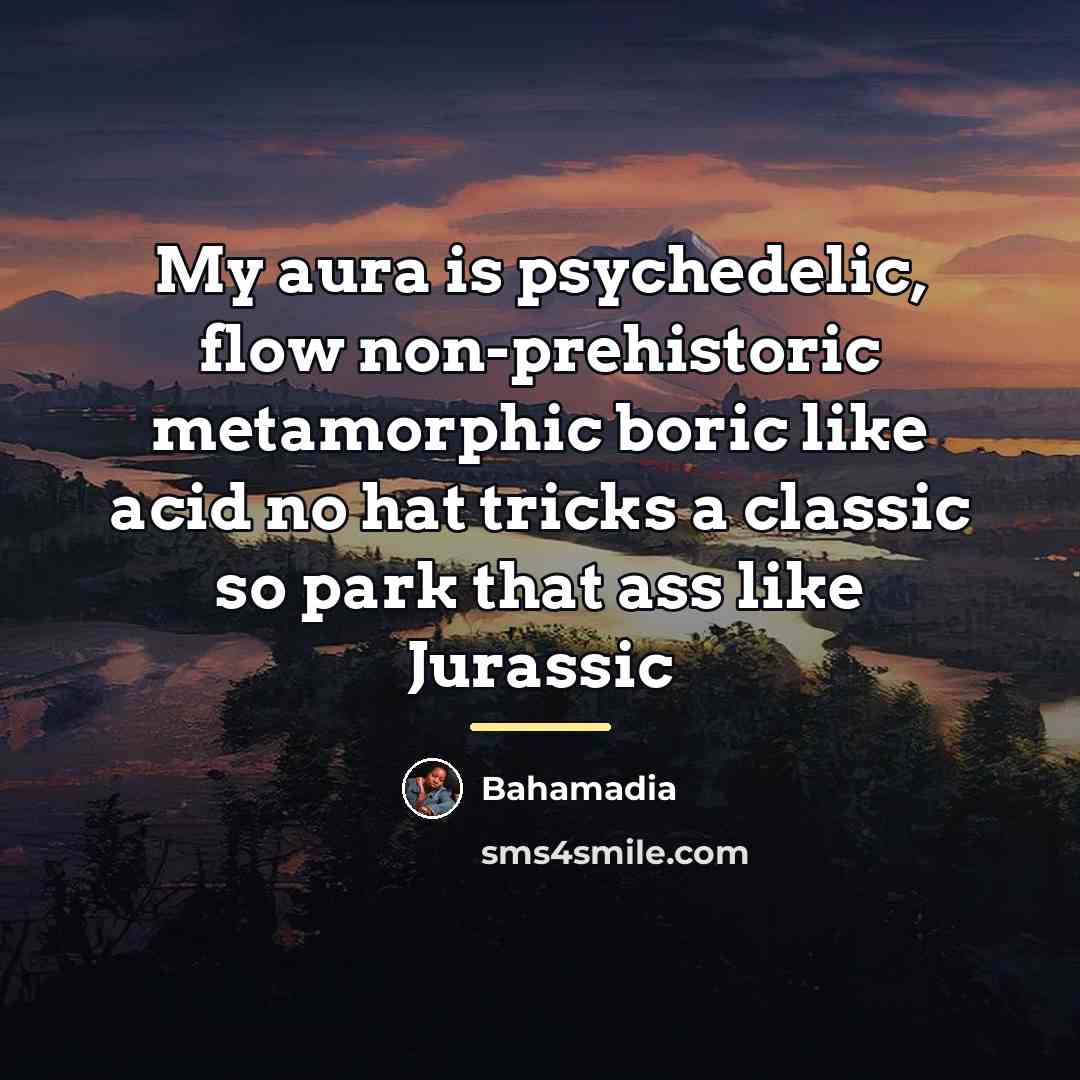 “My aura is psychedelic, flow non-prehistoric metamorphic boric like acid…” quote by Bahamadia