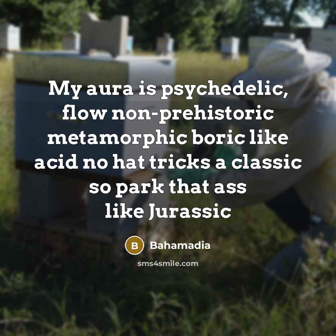 “My aura is psychedelic, flow non-prehistoric metamorphic boric like acid no hat tricks a classic so park that ass like Jurassic” quote by Bahamadia