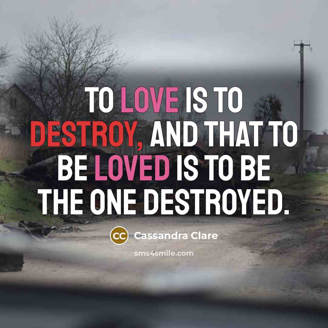 “to love is to destroy, and that to be loved is to be the one destroyed.” quote by Cassandra Clare