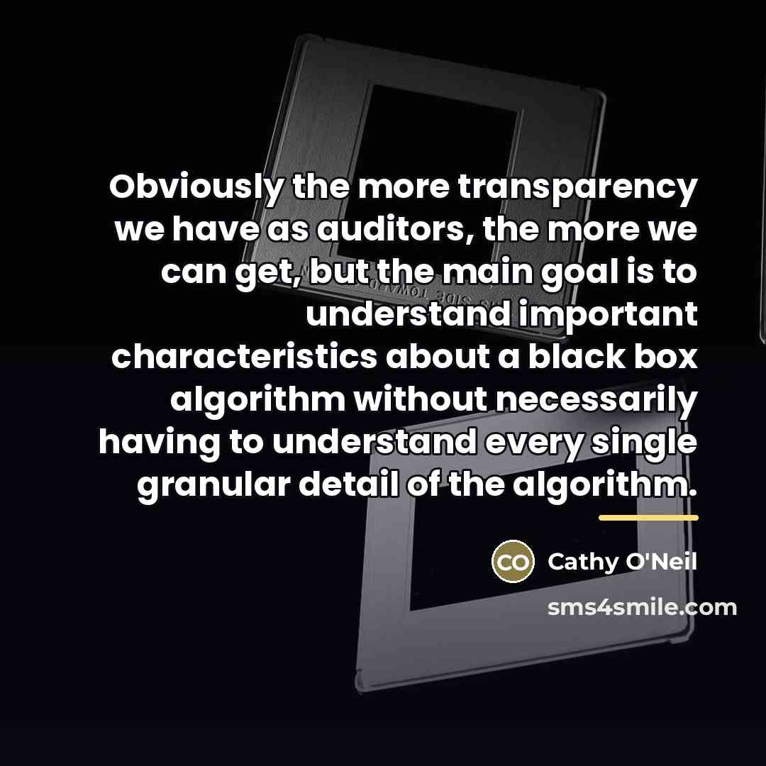 “Obviously the more transparency we have as auditors, the more…” quote by Cathy O'Neil