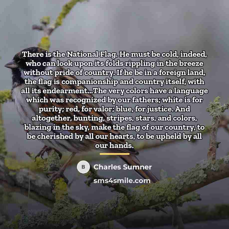 “There is the National Flag. He must be cold, indeed,…” quote by Charles Sumner