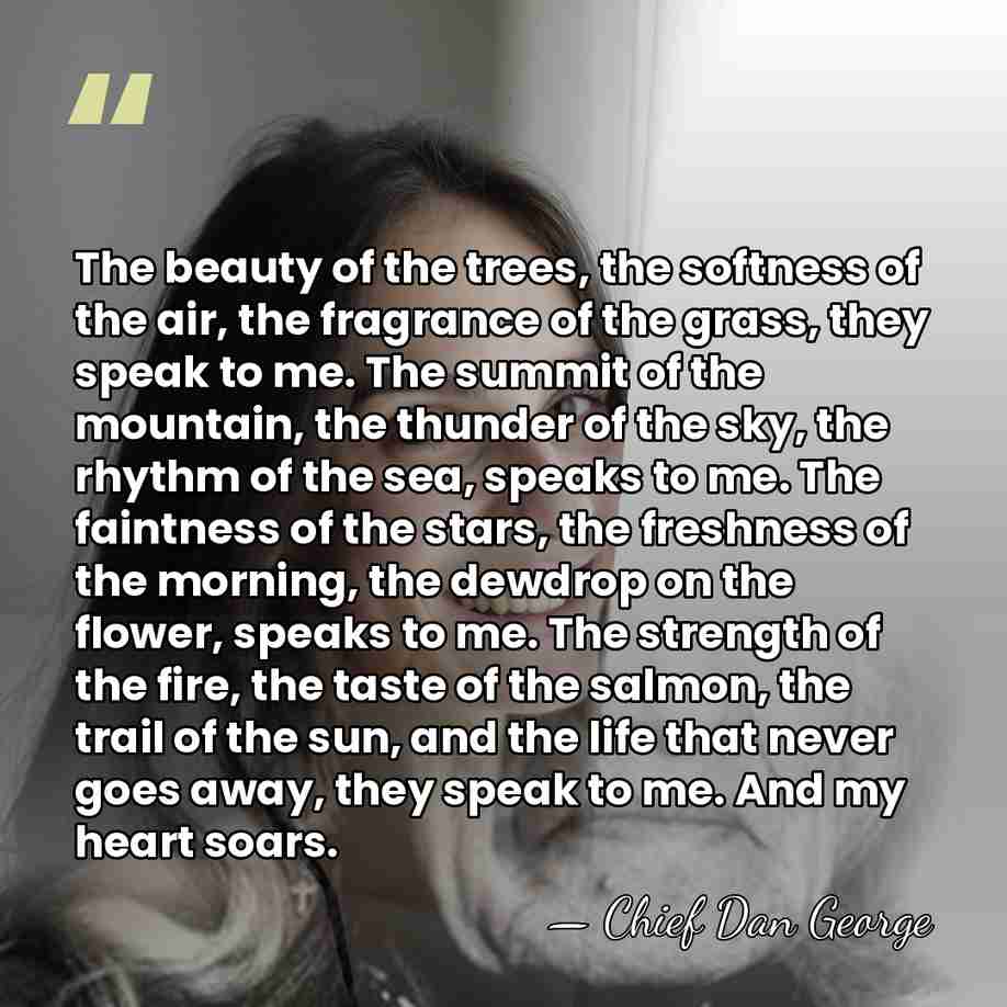The beauty of the trees, the softness of the air, the fragrance&hellip; - Chief Dan George