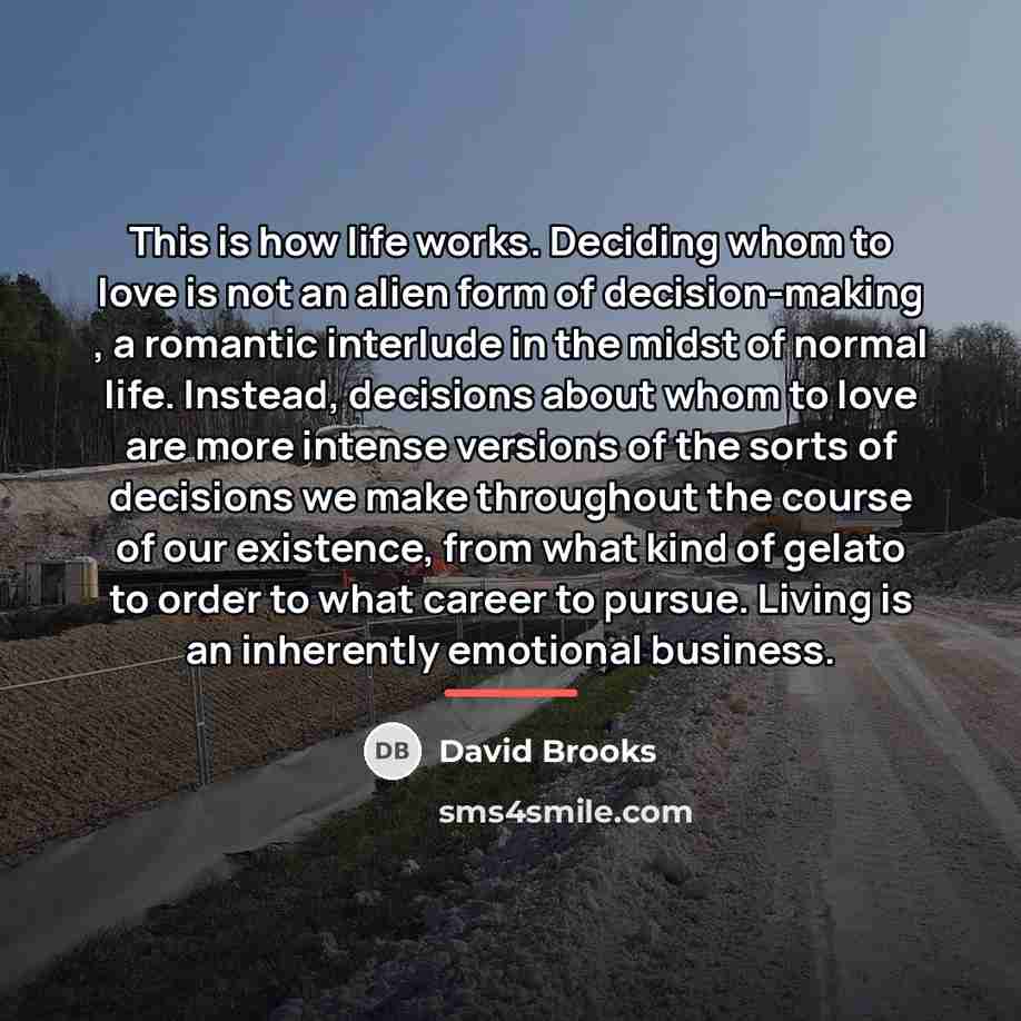 “This is how life works. Deciding whom to love is…” quote by David Brooks