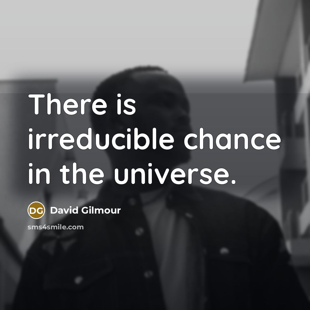 “There is irreducible chance in the universe.…” quote by David Gilmour