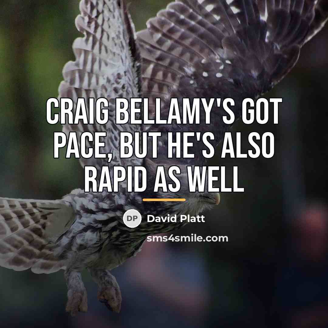 “Craig Bellamy's got pace, but he's also rapid as well…” quote by David Platt