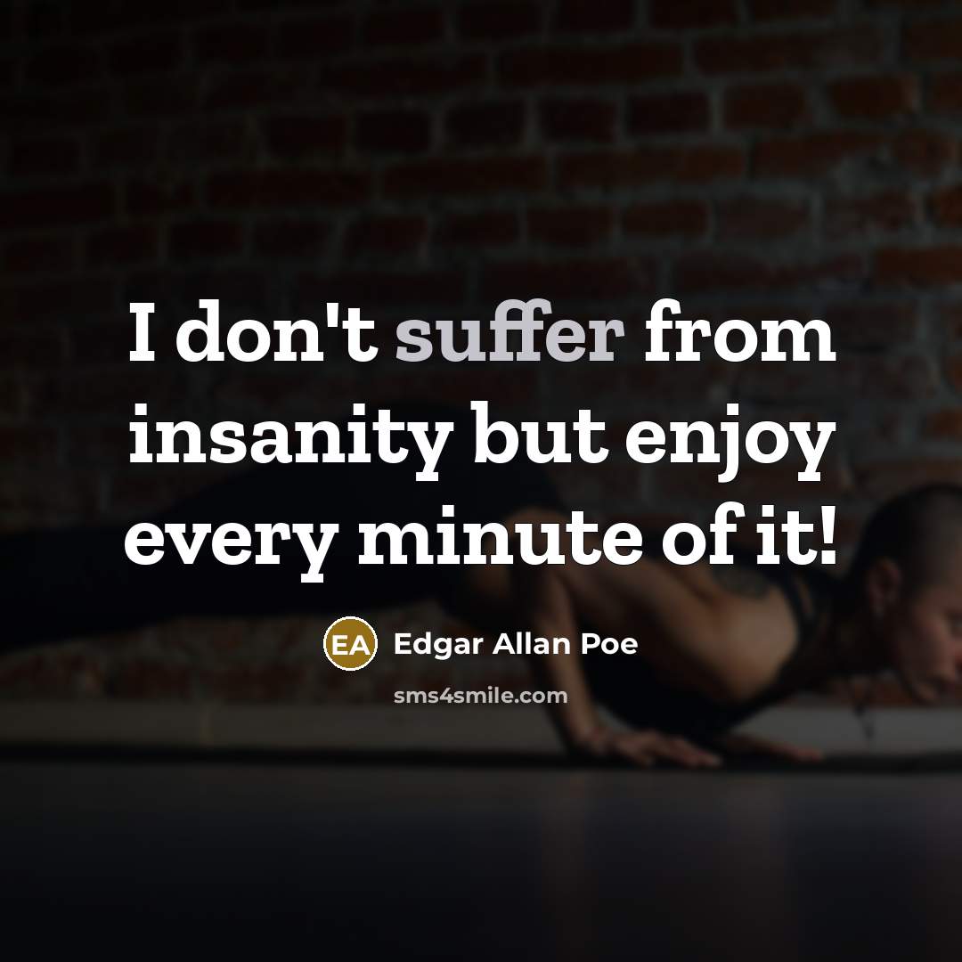 “I don't suffer from insanity but enjoy every minute of…” quote by Edgar Allan Poe