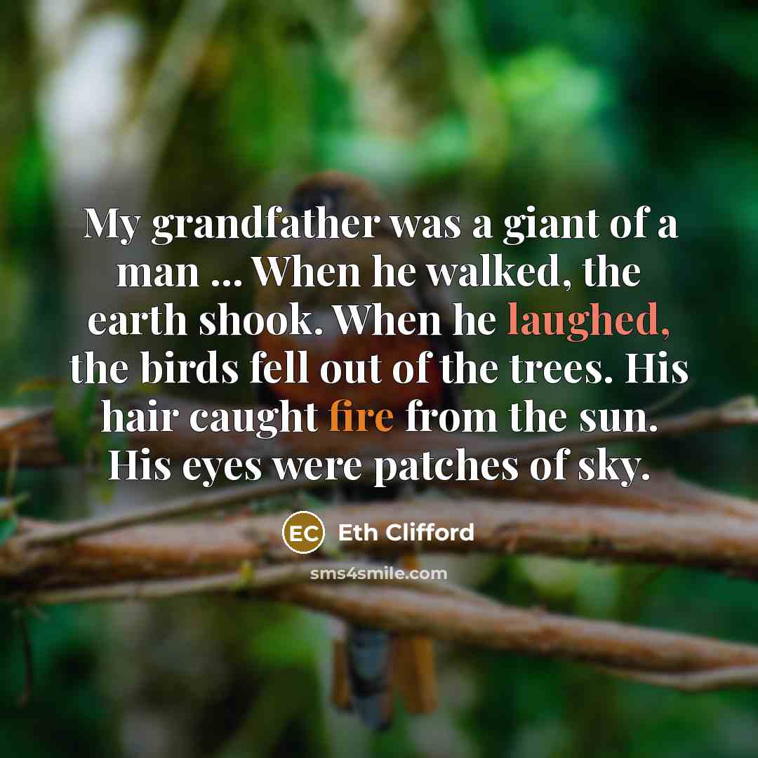 “My grandfather was a giant of a man ... When he walked, the earth shook. When he laughed, the birds fell out of the trees. His hair caught fire from the sun. His eyes were patches of sky.” quote by Eth Clifford