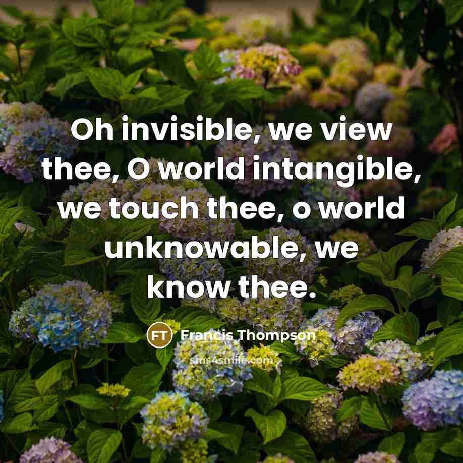 “Oh invisible, we view thee, O world intangible, we touch…” quote by Francis Thompson