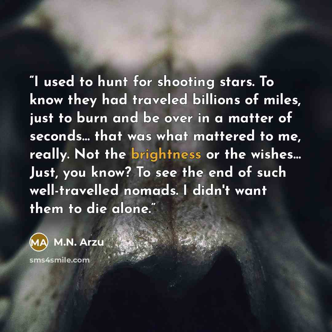 “I used to hunt for shooting stars. To know they had traveled billions of miles, just to burn and be over in a matter of seconds… that was what mattered to me, really. Not the brightness or the wishes… Just, you know? To see the end of such well-travelled nomads. I didn't want them to die alone.” quote by M.N. Arzu