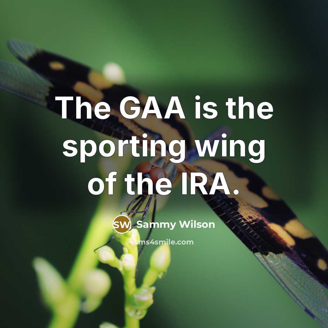 “The GAA is the sporting wing of the IRA.…” quote by Sammy Wilson