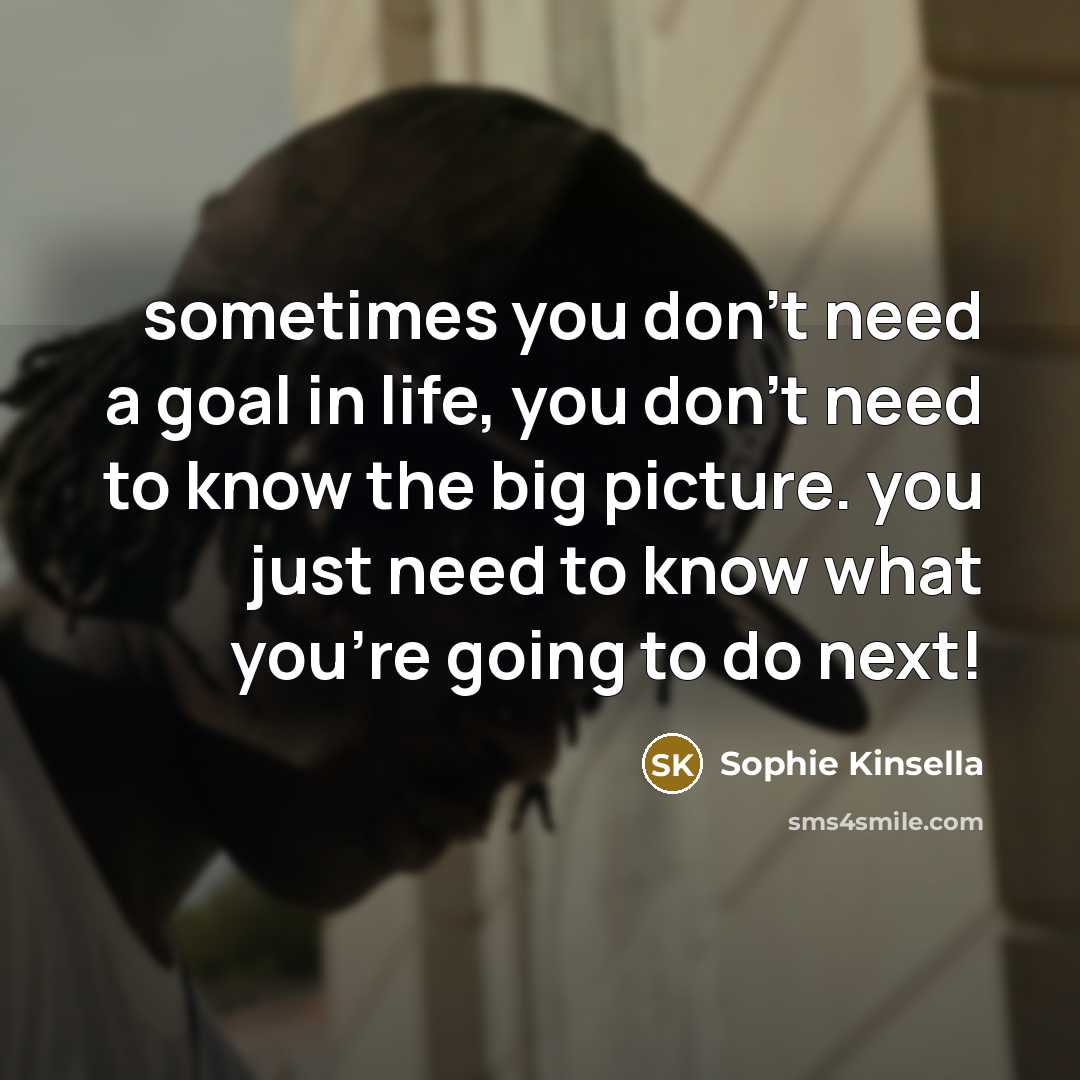 “sometimes you don't need a goal in life, you don't…” quote by Sophie Kinsella