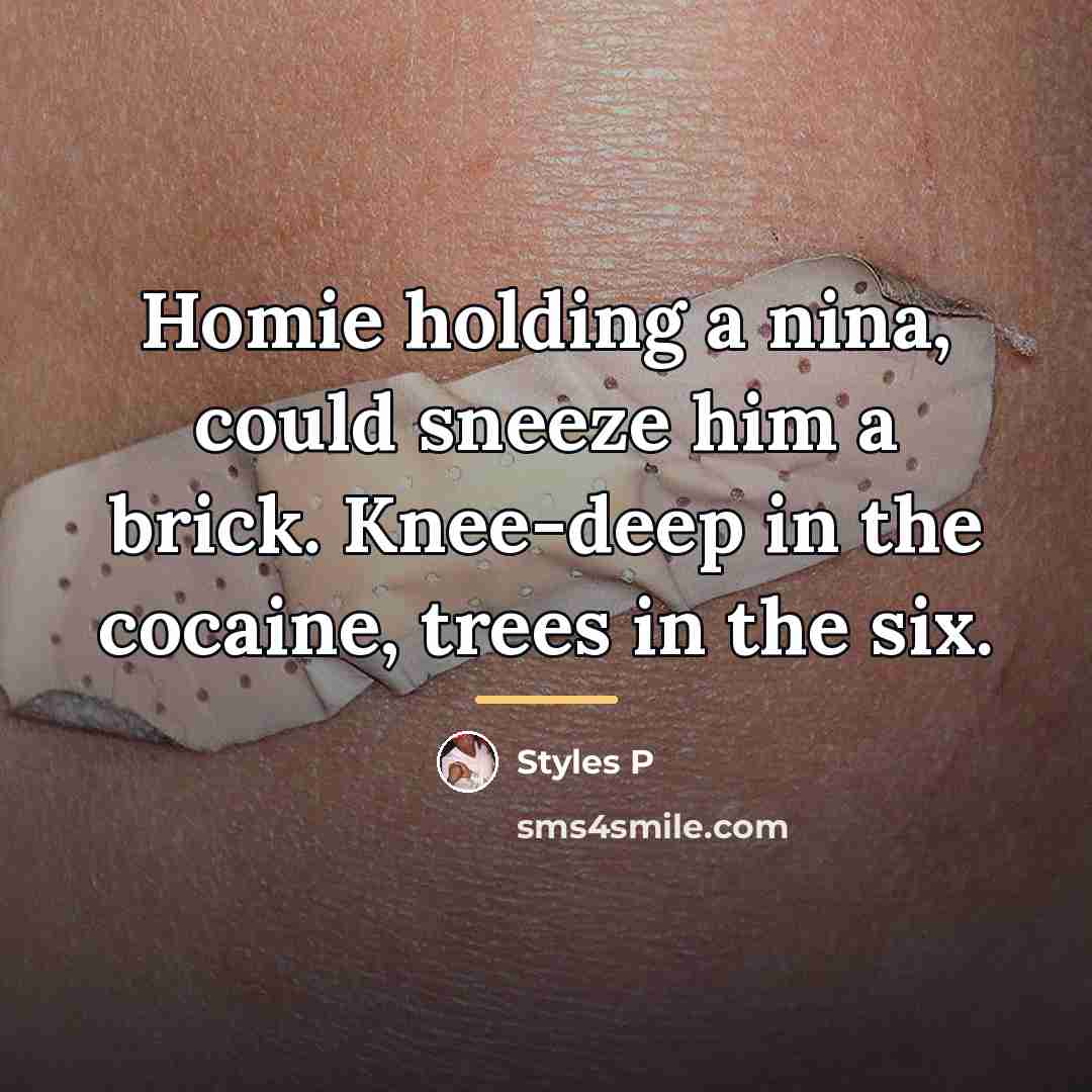 “Homie holding a nina, could sneeze him a brick. Knee-deep…” quote by Styles P