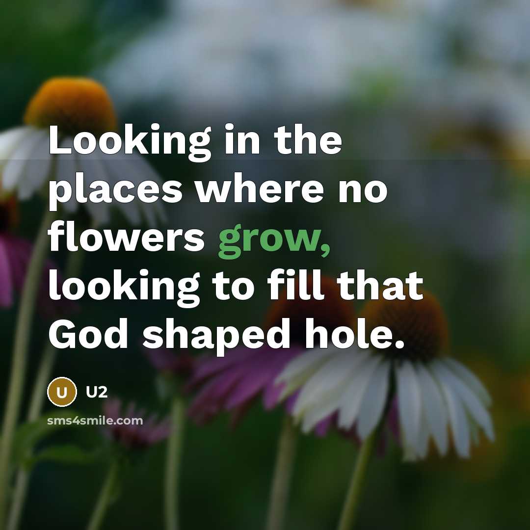 “Looking in the places where no flowers grow, looking to…” quote by U2