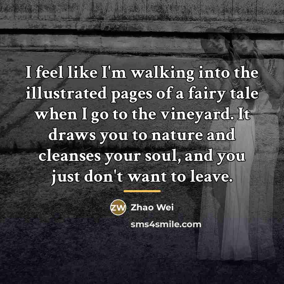 “I feel like I'm walking into the illustrated pages of…” quote by Zhao Wei