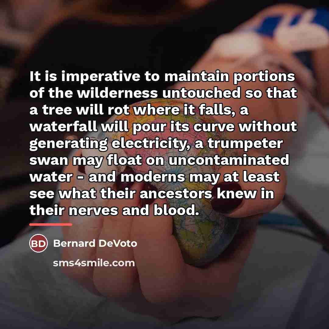 “It is imperative to maintain portions of the wilderness untouched…” quote by Bernard DeVoto
