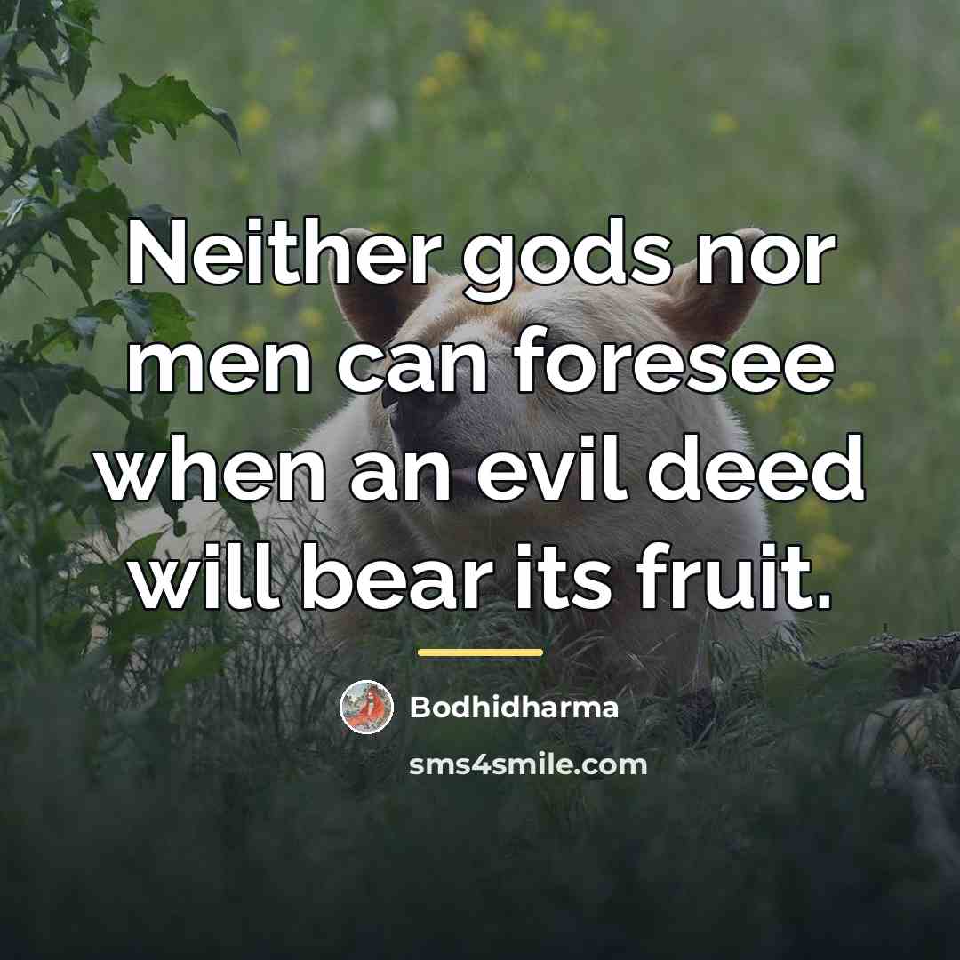 “Neither gods nor men can foresee when an evil deed…” quote by Bodhidharma