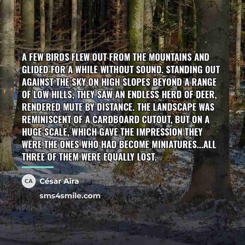 “A few birds flew out from the mountains and glided…” quote by Cesar Aira