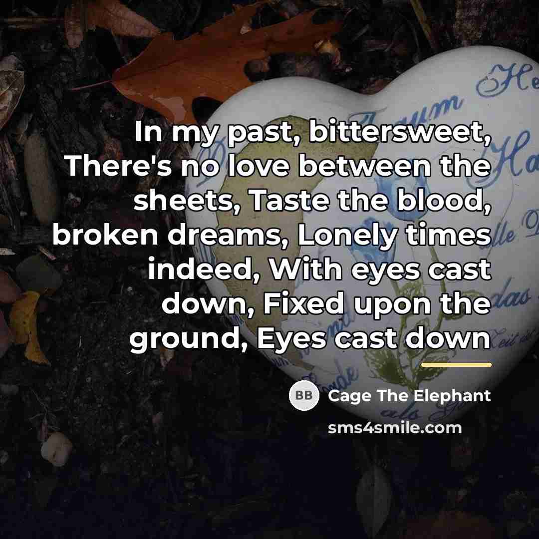 “In my past, bittersweet, There's no love between the sheets,…” quote by Cage The Elephant