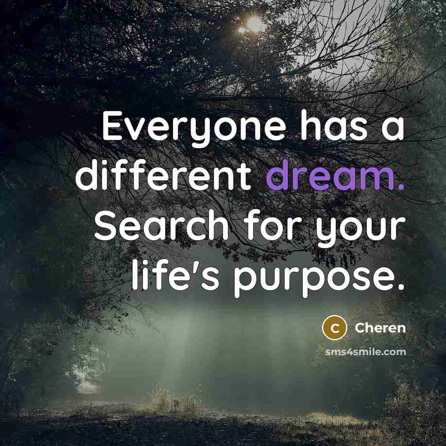 “Everyone has a different dream. Search for your life's purpose.” quote by Cheren
