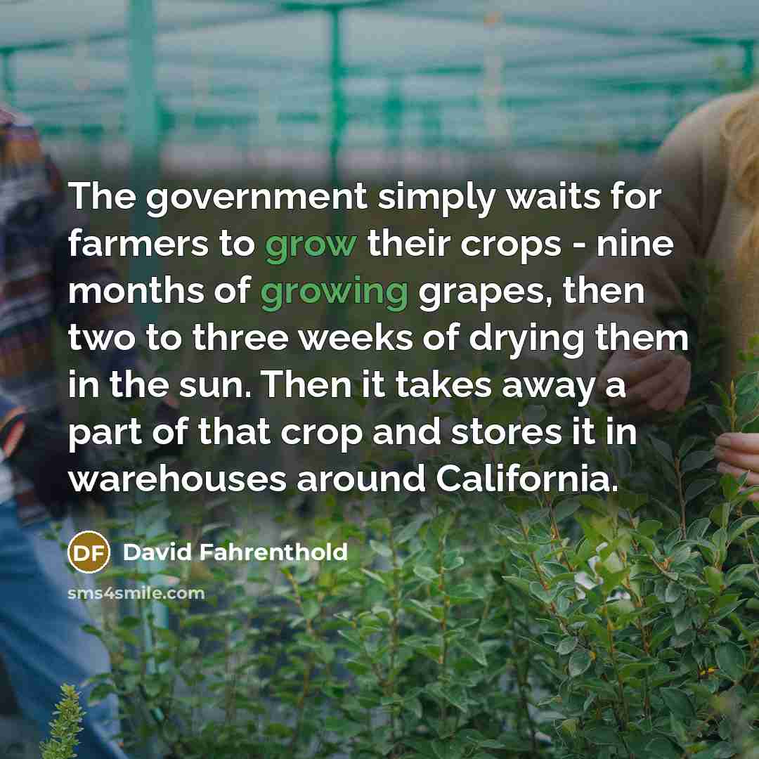 “The government simply waits for farmers to grow their crops - nine months of growing grapes, then two to three weeks of drying them in the sun. Then it takes away a part of that crop and stores it in warehouses around California.” quote by David Fahrenthold