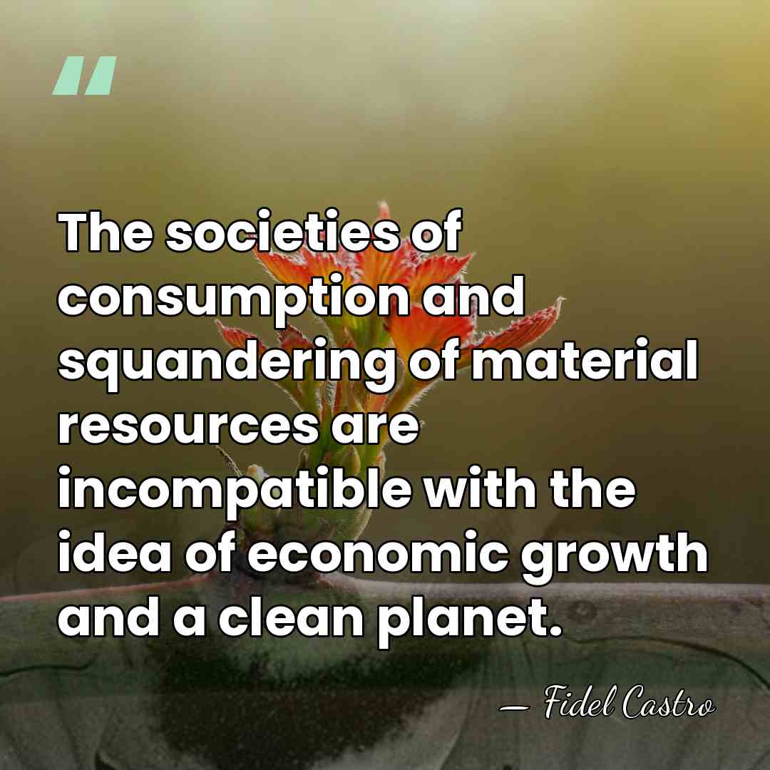 The societies of consumption and squandering of material resources are incompatible with&hellip; - Fidel Castro