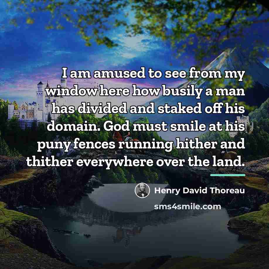 “I am amused to see from my window here how…” quote by Henry David Thoreau