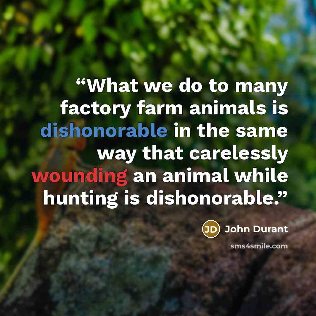 “What we do to many factory farm animals is dishonorable in the same way that carelessly wounding an animal while hunting is dishonorable.” quote by John Durant