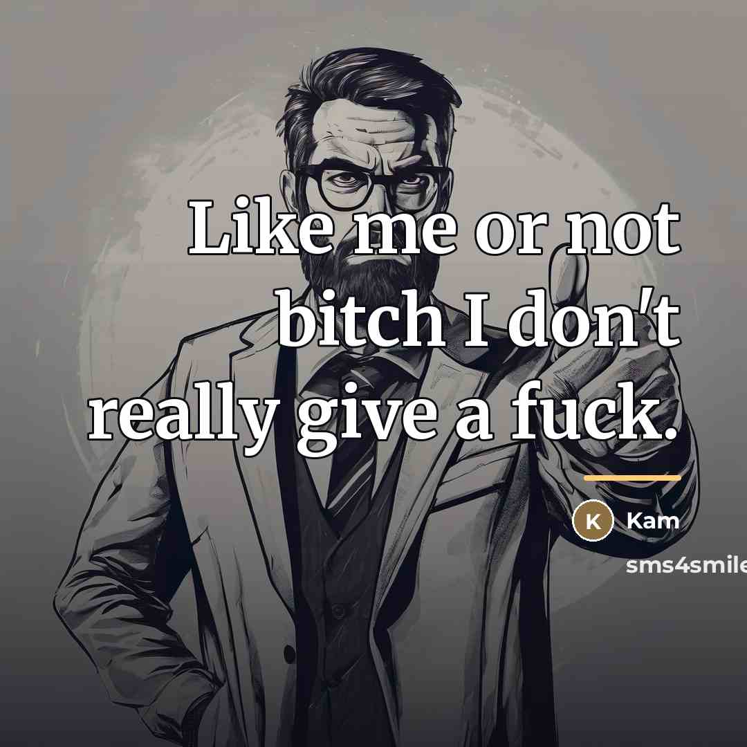 “Like me or not bitch I don't really give a…” quote by Kam