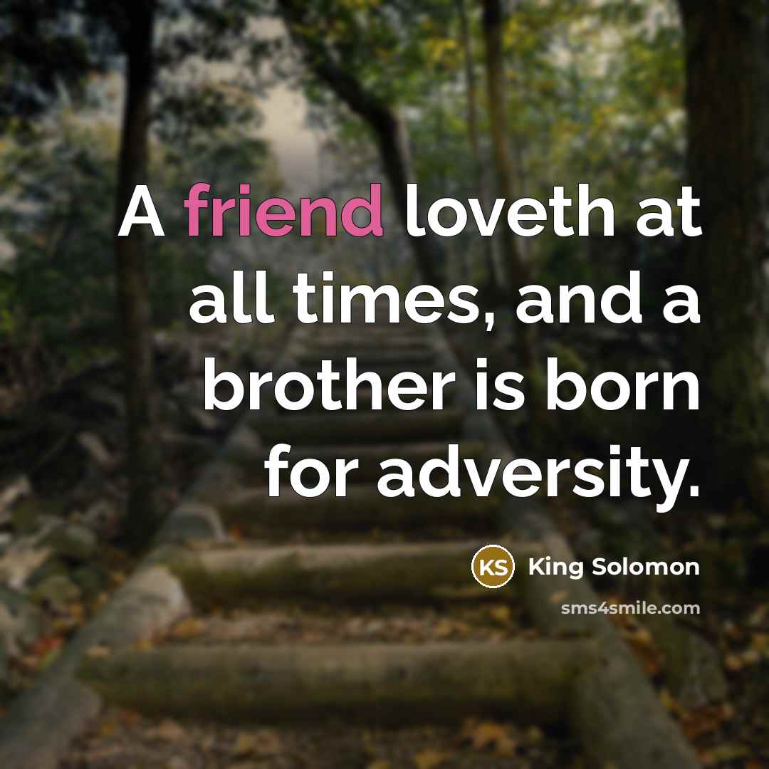 “A friend loveth at all times, and a brother is…” quote by King Solomon